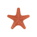 Colar Summer Star Pipoca 2026