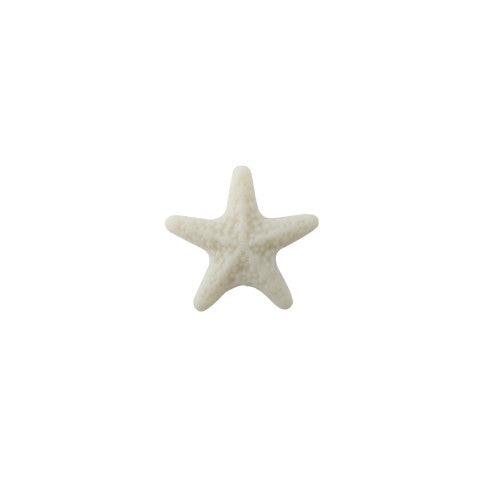 Colar Summer Star de aço com estrela de resina, estrela branca, em fundo branco