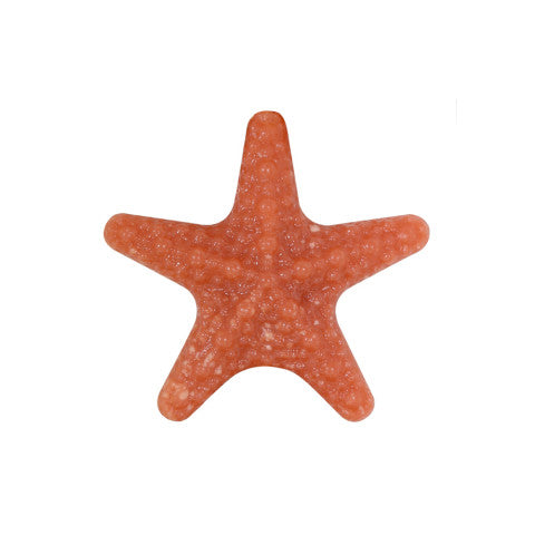 Colar Summer Star de aço com estrela de resina, estrela coral, em fundo branco