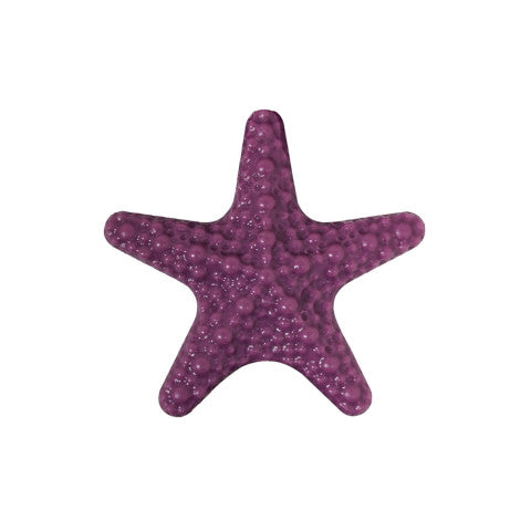 Colar Summer Star de aço com estrela de resina, estrela roxa, em fundo branco