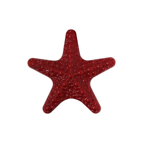 Colar Summer Star de aço com estrela de resina, estrela vermelha, em fundo branco